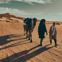 Marrakesh, Morocco - 31 December 2017: Camels and people going in desert